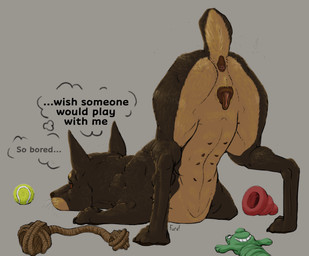anatomically_correct animal_genitalia animal_vulva anus ass_up bored butt canine_genitalia canine_vulva casual_nudity female feral genitals nipples presenting raised_tail rear_view solo tail text thinking thought_bubble toy vulva furvilous canid canine canis domestic_dog mammal english_text hi_res