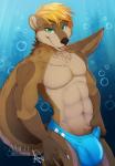 anthro blonde_hair bubble bulge clothing eyebrows eyelashes fangs fur green_eyes hair inner_ear_fluff looking_at_viewer male muscular muscular_anthro muscular_male navel open_mouth open_smile pecs sea simple_background smile solo speedo swimwear teeth tuft underwater water whiskers ahro mammal mustelid otter 2018 hi_res signature