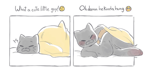 anthro balls bedding belly blanket blush cat_tail emoji genitals huge_thighs lifting_covers male panel_interaction presenting shortstack shortstack_male sleeping solo text thick_thighs voluptuous_male waking_up wide_hips anonymous_artist el_cato domestic_cat felid feline felis mammal english_text hi_res