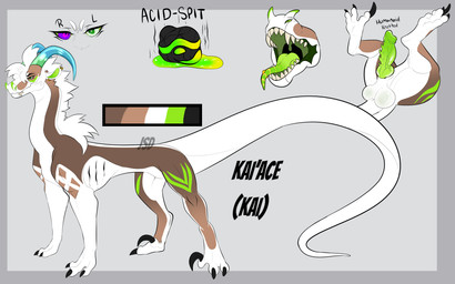 blue_horn brown_body brown_scales claws feral genitals green_horn horn humanoid_genitalia humanoid_penis hybrid_genitalia hybrid_penis knot knotted_humanoid_penis knotted_penis male mane open_mouth penis scales snout solo standing tail white_body white_scales xkingdobie mythology kai'ace dragon mythological_creature mythological_scalie scalie absurd_res hi_res model_sheet