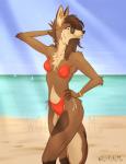 anthro beach bikini biped breasts brown_body brown_fur brown_hair chest_tuft clothed clothing day ear_piercing eyewear facial_piercing female fingerless_(marking) fur hair jewelry looking_at_viewer mane nose_piercing outside partially_clothed piercing pose seaside sky small_breasts solo standing sunglasses swimwear teeth tuft two-piece_swimsuit water wolfpsalm psalm_(wolfpsalm) canid canine mammal maned_wolf 2018 digital_media_(artwork) hi_res pinup watermark