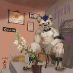anthro black_hair book candy clothed clothing collar dessert ear_piercing food fur grey_body grey_fur hair inside lollipop lollipop_in_mouth looking_at_viewer male nipples piercing solo underwear underwear_only ainro arknights hypergryph studio_montagne spot_(arknights) hyena mammal spotted_hyena 1:1 2025 hi_res