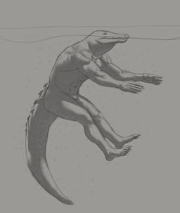 abs anthro bubble claws contiguous_snout featureless_crotch finger_claws male male_anthro mostly_submerged mouth_closed muscular muscular_anthro muscular_male nude partially_submerged side_view solo spiked_tail spikes spikes_(anatomy) tail toe_claws aduran crocodile crocodilian reptile scalie absurd_res hi_res monochrome sketch