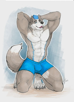 abs anthro blue_eyes blue_hair blue_markings claws clothed clothing dipstick_tail fangs front_view fur grey_body grey_claws grey_fur grey_tail hair kneeling looking_at_viewer male male_anthro markings muscular muscular_anthro muscular_male narrowed_eyes open_mouth pecs red_tongue short_hair simple_background solo tail tail_markings teeth tongue topless white_body white_fur white_tail hufnaar canid canine mammal 2022 dated hi_res