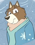 anthro black_eyes blue_clothing blue_jacket blue_topwear brown_body brown_ears brown_fur brown_hair brown_nose clothing frown fur green_scarf hair half-closed_eyes jacket looking_at_viewer male multicolored_body multicolored_clothing multicolored_fur multicolored_topwear narrowed_eyes orange_body orange_fur outside scarf snow snowing solo topwear two_tone_clothing two_tone_jacket two_tone_topwear white_clothing white_jacket white_topwear beargarbage bluey_(series) mort_cattle australian_cattle_dog canid canine canis cattledog domestic_dog herding_dog mammal pastoral_dog 2024 digital_media_(artwork)