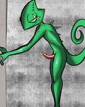 anthro curved_penis erection genitals male nude penis pink_penis shower skinny solo illegaleel nintendo star_fox leon_powalski chameleon lizard reptile scalie 4:5 absurd_res hi_res