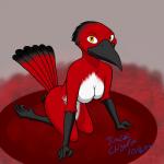 anthro beak biped female kneeling looking_at_viewer nude solo jack_chigaru avian bird rebecca_(disambiguation) 1:1 hi_res