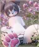 anthro band-aid bandage bell bell_collar belly black_body black_fur black_hair blep blue_eyes bottomwear bow_ribbon clothing collar flower forest fur hair male panties pattern_bottomwear pattern_clothing pattern_panties pattern_underwear paws plant sitting solo striped_bottomwear striped_clothing striped_panties striped_underwear stripes sun tongue tongue_out tree underwear vrchat_model wet wet_clothing wet_panties wet_underwear white_body white_fur envivr blender_cycles arflin_(species) canid canine canis domestic_dog mammal 3d_(artwork) 5:6 absurd_res blender_(artwork) digital_media_(artwork) hi_res