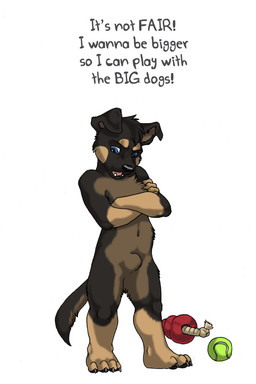animal_genitalia anthro blue_eyes crossed_arms dialogue genitals male open_mouth sackless sheath solo text young young_anthro young_male sabretoothed_ermine elliot_(sabertoothed_ermine) canid mammal digital_media_(artwork) english_text