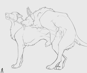 all_fours anal anal_knotting anal_penetration animal_genitalia animal_penis balls bodily_fluids canine_genitalia canine_penis cum cum_in_ass cum_inside doggystyle duo erection eyes_closed feral feral_on_feral feral_penetrated feral_penetrating feral_penetrating_feral from_behind_position genital_fluids genitals grabbing_from_behind internal knot knotting male male/male male_penetrated male_penetrating male_penetrating_male mating_grip muzzle_(object) muzzled penetration penile penile_penetration penis penis_in_ass penis_tip rounded_back sex sheath sheathed_while_penetrated simple_background white_background sabuky canid canine canis domestic_dog mammal digital_media_(artwork) hi_res monochrome