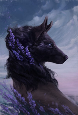 black_hair black_nose day detailed_background flower hair lavender_(flower) outside plant side_view sky solo wind demortum canid canine canis mammal wolf 2019 bust_portrait digital_media_(artwork) digital_painting_(artwork) painting_(artwork) portrait