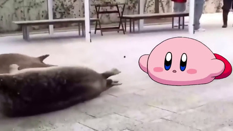 ambiguous_gender biped blue_eyes blush blush_stickers bouncing chiptune floating group gun levitation lying music not_furry on_front open_mouth photo_background pink_body ranged_weapon real red_body road shooting shooting_gun skydiving solo_focus weapon natsuring0 sound_warning kirby_(series) nintendo kirby alien aquatic mammal pinniped seal waddling_head 16:9 animated frame_by_frame high_framerate meme mixed_media multiple_scenes photography_(artwork) short_playtime sound video widescreen