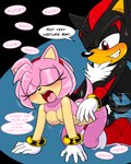 amy_rose anthro bodily_fluids doggystyle eulipotyphlan female from_behind_position fur genital_fluids hedgehog hi_res male male/female mammal pink_body pink_fur profanity sega sex shadow_the_hedgehog sonic_the_hedgehog_(series) sweat vaginal_fluids