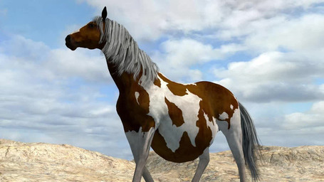 belly bodily_fluids female feral genital_fluids inflation solo kirill475 equid equine horse mammal 16:9 2021 3d_(artwork) 3d_animation animated digital_media_(artwork) no_sound short_playtime video widescreen