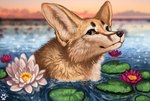 ambiguous_gender black_nose brown_eyes day detailed_background facial_markings feral flower fluffy head_markings lake lily_pad looking_at_viewer markings outside partially_submerged plant sky solo sunset water_lily flashw canid canine fennec_fox fox mammal true_fox 2022 bust_portrait digital_media_(artwork) digital_painting_(artwork) portrait