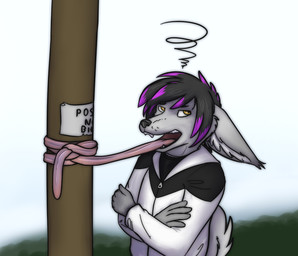 5_fingers anthro black_hair bound clothed clothing fingers fur grey_body grey_fur grumpy hair long_tongue male multicolored_hair open_mouth purple_hair silly solo teeth text tongue two_tone_hair yellow_eyes fuzzywuff lance_(radiantblaze) canid canine canis hybrid mammal wolfdog