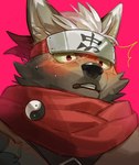 anthro asian_clothing blush brown_body brown_fur clothing east_asian_clothing fur hair japanese_clothing looking_away male nervous scarf solo white_hair pu94_d1de4c lifewonders tokyo_afterschool_summoners tadatomo_(tas) canid canine canis domestic_dog mammal 2024 absurd_res hi_res