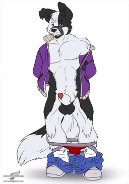 abs animal_genitalia anthro balls bdsm biceps big_muscles biped bondage bottomwear bottomwear_down bound chest_tuft clothed clothing facial_hair flaccid footwear fur gag gagged genitals jacket jockstrap looking_at_viewer male muscular muscular_anthro muscular_male mustache open_clothing open_shirt open_topwear pants pants_down partially_clothed pecs penis penis_tip pose sheath shirt shoes sneakers solo standing submissive submissive_male tail tape tape_gag text topwear tuft underwear undressing wolfblade jesse_collins border_collie canid canine canis collie domestic_dog herding_dog mammal pastoral_dog sheepdog url