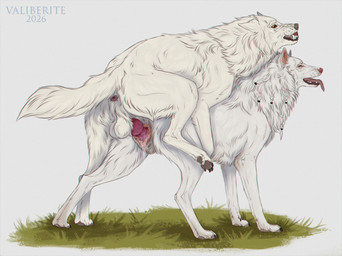 animal_genitalia animal_penis animal_vulva anus backsack balls bodily_fluids braided_hair butt canine_genitalia canine_penis canine_vulva cum cumshot doggystyle dripping dripping_vulva duo ejaculation female feral feral_on_feral feral_penetrated feral_penetrating food from_behind_position genital_fluids genitals grass grin hair happy happy_sex intraspecies knot male male/female mounting on_grass on_ground penetration penis plant realistic_feral rear_view scrunched_nose sex sheath simple_background smile standing tail tail_tuft text tongue tongue_out top_hole tuft vaginal vaginal_penetration vein veiny_penis vulva white_body valiberite crytrauv erna_(valiberite) arctic_fox canid canine canis fox mammal true_fox wolf 2026 artist_name chromatic_aberration english_description hi_res