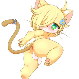 :3 accessory ahoge anthro anus balls blonde_hair butt femboy flower flower_in_hair foreskin freckles genitals green_eyes hair hair_accessory hair_over_eye humanoid_genitalia humanoid_penis looking_at_viewer looking_back male nude one_eye_obstructed pawpads paws penis plant shota simple_background solo thick_thighs unretracted_foreskin whiskers white_background young young_anthro bunnag domestic_cat felid feline felis mammal 1:1 character_request digital_media_(artwork) hi_res shaded