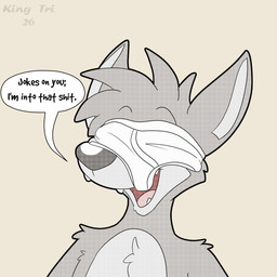 anthro black_text briefs clothing fur grey_body grey_fur grey_text male monotone_briefs monotone_clothing monotone_underwear open_mouth open_smile simple_background smile solo speech_bubble teeth_showing text tighty_whities tongue_showing toony underwear underwear_on_face white_briefs white_clothing white_underwear yellow_background king-triangle that's_kind_of_hot canid canine canis mammal wolf 1:1 2026 hi_res meme
