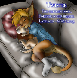 anthro big_ears bottomless clothed clothing cuddling duo ear_tuft eyes_closed feral footwear furniture gloves_(marking) head_on_pillow inner_ear_fluff leg_markings male markings memorial pawpads pillow sleeping sleeping_together socks socks_(marking) sofa tail tail_tuft text tuft zephyrpanthur canid canine canis domestic_dog felid feline fennec_fox fox mammal true_fox english_text hi_res in_memoriam