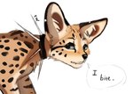 ambiguous_gender collar feral fur markings simple_background solo spiked_collar spikes spots spotted_body spotted_fur white_background flashw felid feline mammal serval 2023 digital_drawing_(artwork) digital_media_(artwork)