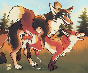 anal anal_orgasm anal_penetration animal_genitalia animal_penis balls black_body black_fur blue_eyes blush blush_lines bodily_fluids canine_genitalia canine_penis cum cum_while_penetrated duo ejaculation erection eye_scar facial_scar feral feral_on_feral feral_penetrated feral_penetrating feral_penetrating_feral fur genital_fluids genitals green_eyes hands-free knot knotted_penis larger_feral larger_on_top male male/male male_penetrated male_penetrating male_penetrating_male on_top orgasm paws penetration penile penile_penetration penis premature_ejaculation quadruped red_body red_fur scar sex sheath size_difference smaller_feral smaller_penetrated tan_body tan_fur hakudoge rooke rustle_(hakudoge) canid canine canis coyote fox mammal red_fox true_fox 6:5 absurd_res hi_res