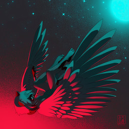 5_toes alternate_species anthro areola barefoot biped breasts falling feathered_wings feathers feet female light nipples nude sky solo star starry_sky toes wings enigma_(artist) brand_new_animal studio_trigger michiru_kagemori avian bird canid canine hybrid mammal raccoon_dog tanuki 1:1 2021 absurd_res hi_res lighting