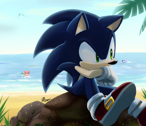 anthro beach black_nose blue_body blue_fur clothing conjoined_eyes day detailed_background duo elbow_on_knee female fingers footwear fur glistening glistening_eyes gloves grass green_eyes handwear male on_rock outside pink_body pink_fur plant pupils quills_(anatomy) red_clothing red_footwear red_shoes rock sand sea seaside shoes sitting sitting_on_rock sky solo_focus split_form tail tan_arms tan_inner_ear tan_muzzle water white_clothing white_gloves white_handwear myly14 sega sonic_the_hedgehog_(series) amy_rose background_character sonic_the_hedgehog eulipotyphlan hedgehog mammal marine merfolk 2015 shaded