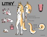 2016 anthro black_body black_fur breasts brown_eyes canid canine canis claws cross_section curled_tail curvy_figure domestic_dog english_text female fur german_shepherd gradient_fur grey_background herding_dog hovawart hybrid lithy_(artist) lithy_(fursona) mammal model_sheet navel nipples nude pastoral_dog pawpads pink_nipples pink_pawpads pink_tongue plantigrade signature simple_background solo tail tan_body tan_fur text tongue white_body white_fur yellow_body yellow_fur