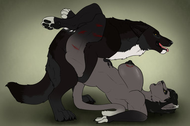anthro anthro_on_feral anthro_penetrated bestiality between_legs bite_mark black_body black_fur black_hair black_nipples black_nose black_pawpads dipstick_ears duo ear_markings fangs female female_anthro female_penetrated feral feral_penetrating feral_penetrating_anthro fur grey_body grey_fur hair male male/female male_feral male_penetrating male_penetrating_female multicolored_ears nipples nude open_mouth pawpads penetration pink_tongue scratches sex side_view simple_background teeth tongue white_body white_fur yellow_eyes killthe_demon echo_(wolffylegend) miasma_velenosa_(miasmium) canid canine felid mammal hi_res