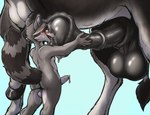 anatomically_correct backshot balls big_balls big_flare big_penis black_penis blush bodily_fluids butt duo feral flared_penis flushed foreskin genital_fluids genitals glistening glistening_balls glistening_genitalia grey_background hooves huge_flare licking licking_precum male male/male oral penile penis penis_lick penis_on_nose penis_sniffing penis_worship precum sex simple_background size_difference sniffing sweat tail tongue worship emptyinside coontail coontail_v2 asinus donkey equid equine mammal procyonid raccoon hi_res