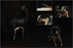 2009 3d all_fours animal_genitalia balls black_fur blonde_hair bound breasts canine centaur cgi chain cum cum_in_pussy cum_inside doggystyle dungeon equine eyes_closed female forced foursome from_behind fur group group_sex hair horsecock human interspecies male mammal monster nude open_mouth penetration penis rape rawdarkness sex stockings straight tattoo taur vaginal vaginal_penetration were werewolf
Rating: Explicit
Score: 7
User: furmann
Date: August 22, 2013