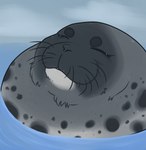 ambiguous_gender circle_eyebrows eyebrows eyelashes eyes_closed feral fur grey_body grey_fur grey_sky partially_submerged sky snout solo water whiskers softpeaches harbor_seal mammal marine pinniped seal 2024 bust_portrait digital_drawing_(artwork) digital_media_(artwork) flat_colors portrait