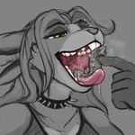 anthro anthro_on_anthro bodily_fluids cheek_tuft clothed clothing collar duo erection eyebrow_piercing eyelashes facial_piercing facial_tuft female green_eyes grin male male/female narrowed_eyes nude on_tongue open_mouth piercing saliva saliva_string simple_background sitting smile spiked_collar spikes striped_arms striped_back striped_legs tongue tongue_out tuft acidic cid_(acidic) lagomorph leporid mammal rabbit 1:1 partially_colored