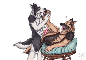 animal_genitalia animal_penis anthro black_body black_fur blue_eyes bodily_fluids canine_genitalia canine_penis duo erection feet foot_fetish foot_lick foot_play fur genitals glistening glistening_eyes licking logo lying male male_anthro nude on_back open_mouth orange_body orange_eyes orange_fur penis penis_tip saliva saliva_on_foot sheath side_view simple_background standing tongue tongue_out white_background white_body white_fur white_sheath kola_(artist) border_collie canid canine canis collie domestic_dog german_shepherd herding_dog mammal pastoral_dog sheepdog 2024 artist_logo dated