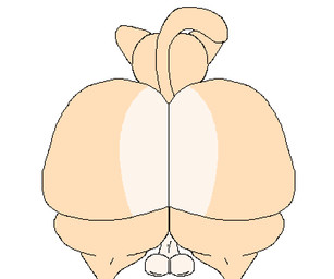 anthro anus backsack balls big_balls big_butt butt ears_up first_person_view genital_raphe genitals glistening glistening_anus glistening_butt huge_butt hyper hyper_butt looking_away male multicolored_body puffy_anus raphe_(anatomy) scrotal_raphe simple_background sitting sitting_on_another sitting_on_viewer solo standing tail tail_motion tan_body thick_thighs twerking underbelly white_background x_anus nxyitn bababooey_(nxyitn) domestic_cat felid feline felis mammal tabby_cat 2d_animation aliasing animated digital_media_(artwork) loop