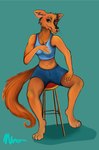 absurd_res anthro canid canine clothing ear_piercing ear_ring facial_piercing female furniture hi_res mammal nose_piercing nose_ring piercing ring_piercing septum_piercing septum_ring solo stool unknown_artist