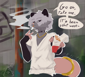 accessory anthro choker cigarette cigarette_box cigarette_in_mouth cigarette_smoke clothed clothing furgonomics jewelry looking_at_viewer male necklace object_in_mouth offering_cigarette ring smoke solo speech_bubble tail tail_accessory tail_jewelry tail_ring text tired pitta_the_italian dipper_(pitta_the_italian) american_opossum mammal marsupial english_text hi_res