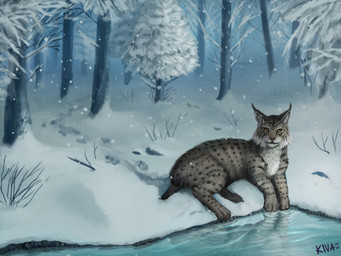 ambiguous_gender feral footprint forest fur grey_body grey_fur looking_at_viewer lying markings nature pawprint peaceful plant river snow solo spots spotted_body spotted_fur tree winter conditional_dnp kiva~ felid feline lynx mammal 2015 4:3
