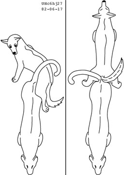 ambiguous_gender ambiguous_penetrated ambiguous_penetration ass_to_ass duo eyes_closed feral feral_on_feral feral_penetrated feral_penetrating feral_penetrating_feral fur interspecies knotting looking_at_another looking_back looking_back_at_another male male/ambiguous male_penetrating male_penetrating_ambiguous obscured_penetration penetration penile penile_penetration reverse_doggystyle sex simple_background tail two_panel_image white_background urbanhermit canid canine felid mammal pantherine 1982 black_and_white dated monochrome