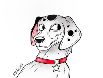 black_nose black_spots collar feral fur heterochromatic_ears male nightmare_fuel pink_inner_ear red_collar solo spots star toony uncanny_valley white_body white_fur white_spots kaleriagepard1 101_dalmatian_street 101_dalmatians disney dylan_(101_dalmatians) canid canine canis dalmatian domestic_dog mammal