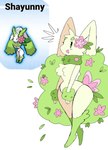 anthro blush chest_tuft eyebrows female flower flower_(anatomy) flower_ears fluffy fluffy_breasts fluffy_tail fur fusion grass head_flower heart_eyebrows heart_symbol leaf long_ears nude open_mouth plant plant_ears pokemon_fusion simple_background simple_eyes smile solo tail tan_body tan_fur text tuft puppkittyfan1 nintendo pokemon shayunny elemental_creature flora_fauna generation_4_pokemon hybrid hybrid_pokemon lagomorph legendary_pokemon leporid lopunny mammal pokemon_(species) shaymin digital_media_(artwork) hi_res meme species_name