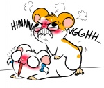 blush duo female feral humor male male/female sex unknown_artist hamtaro_(series) bijou_(hamtaro) hamtaro cricetid hamster mammal rodent