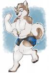 anthro bottomwear clothed clothing feral male print_bottomwear print_clothing print_shorts runner shorts solo topless nut-case nintendo pokemon pokemon_go pokemon_go_plus team_mystic crash_kaiser articuno canid canine canis domestic_dog generation_1_pokemon husky legendary_pokemon mammal nordic_sled_dog pokemon_(species) spitz 2016 hi_res