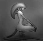 big_head breasts convenient_censorship crouching featureless_face featureless_feet feet female fingers grey_background long_tail medium_breasts not_furry nude nude_female nude_humanoid plantigrade side_view simple_background slim solo tail tiptoes towerpractice alien_(franchise) alien alien_humanoid humanoid xenomorph 2019 full-length_portrait greyscale monochrome portrait shaded