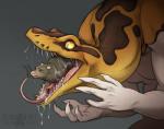 ambiguous_gender anthro bodily_fluids crying duo feral forked_tongue imminent_vore open_mouth pupils saliva sharp_teeth size_difference slit_pupils tears teeth tongue vore yellow_eyes rotarr mammal murid murine rat reptile rodent scalie snake 2016