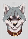 :3 ambiguous_gender brown_collar brown_eyes collar countershading feral front_view fur grey_background grey_body grey_fur looking_at_viewer outline scar simple_background smile solo white_body white_countershading white_outline azzai ginga_(series) gin_(ginga) akita akita_inu canid canine canis domestic_dog mammal spitz 2018 headshot_portrait portrait shaded male_(lore)