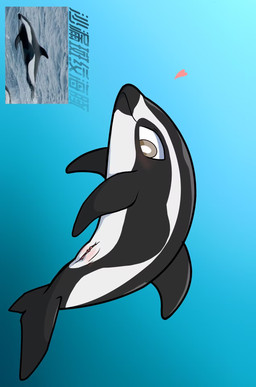 blush body_blush clitoral_winking clitoris female feral genitals heart_symbol solo text underwater underwater_view vulva vulva_blush water 1145_(artist) aquatic cetacean dolphin hourglass_dolphin mammal oceanic_dolphin toothed_whale chinese_text hi_res